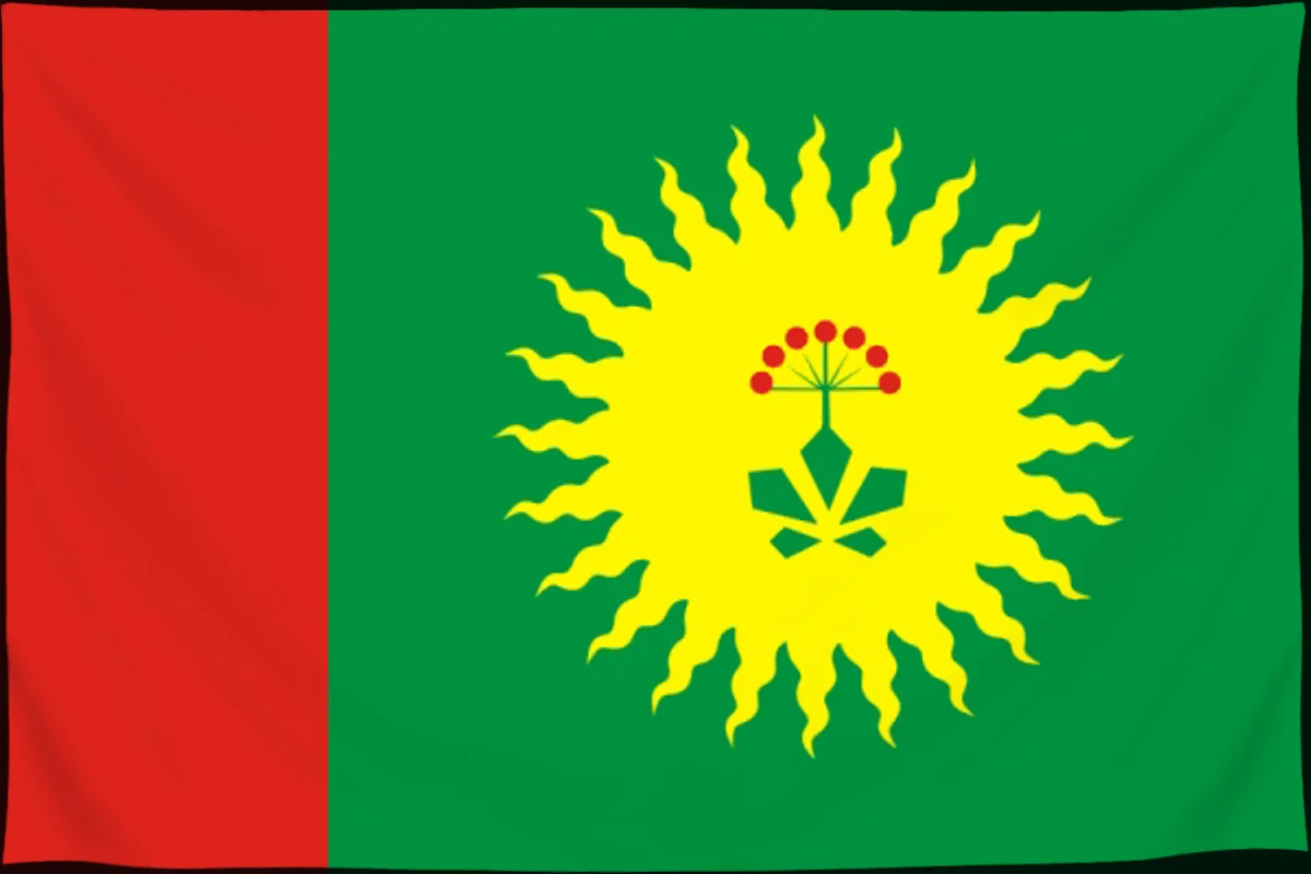 Флаг: Анучинский муниципальный округ